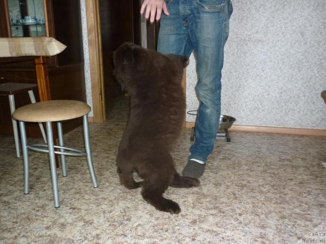 Фотография № 40192