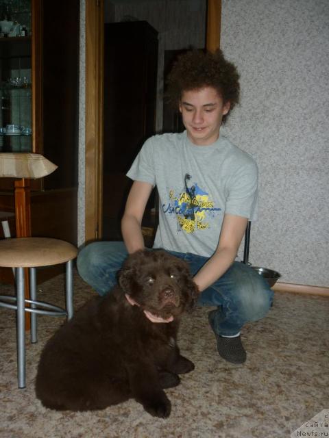 Фотография № 40197