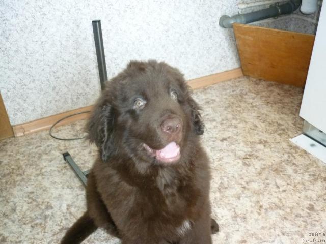 Фотография № 40214