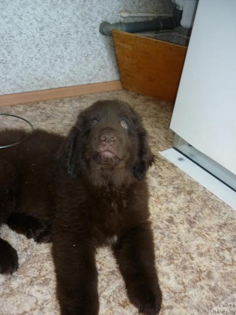 Фотография № 40215