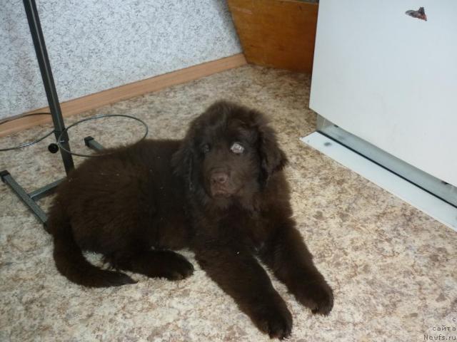 Фотография № 40217