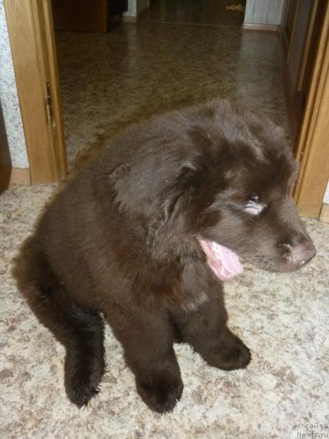 Фотография № 40222