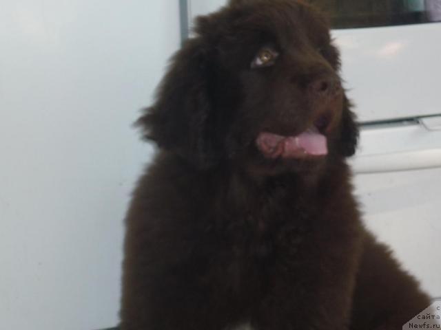 Фотография № 40223