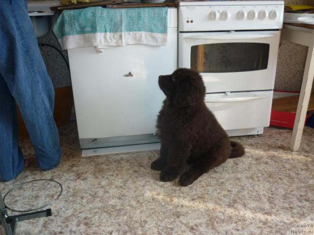 Фотография № 40226