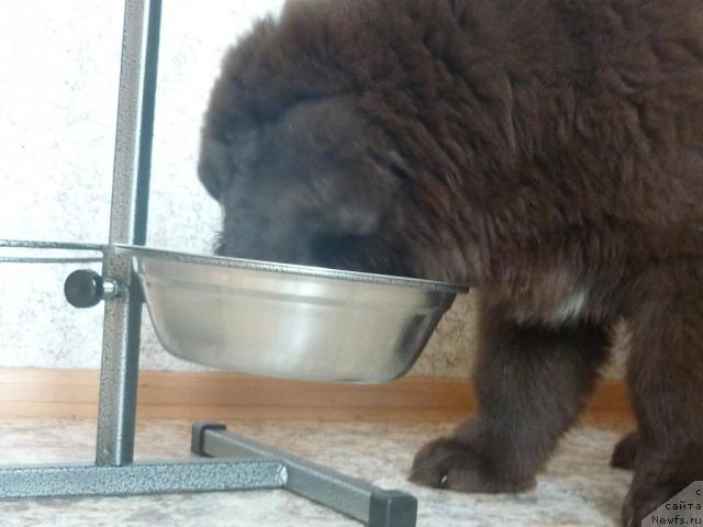 Фотография № 40227