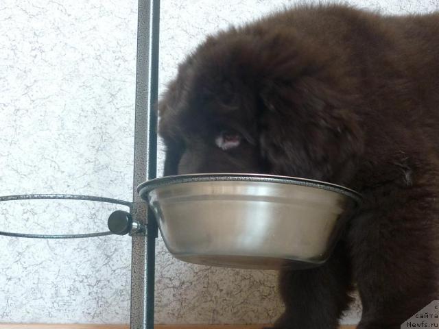 Фотография № 40228