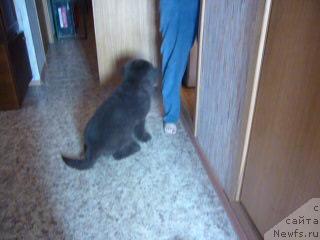 Фотография № 40230