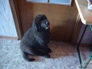 Фотография № 40232