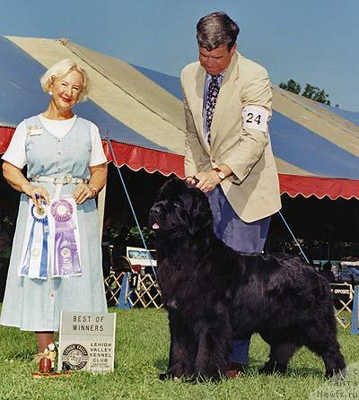 Фото: ньюфаундленд Pouch Cove's Antares Arbitrage