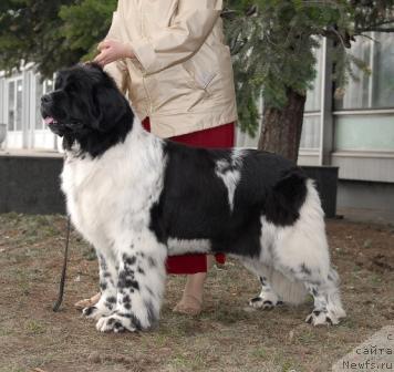 Фотография № 40396