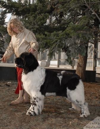 Фотография № 40399