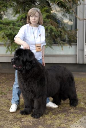 Фотография № 40402