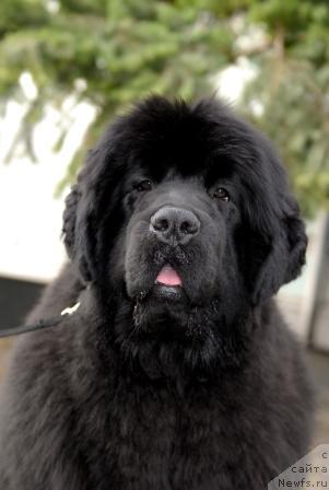 Фотография № 40404