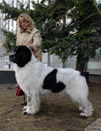 Фотография № 40405