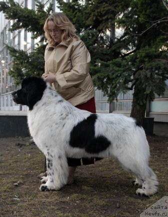 Фотография № 40406