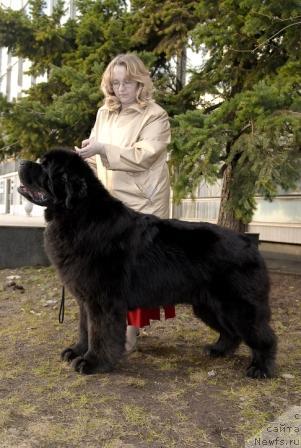 Фотография № 40412