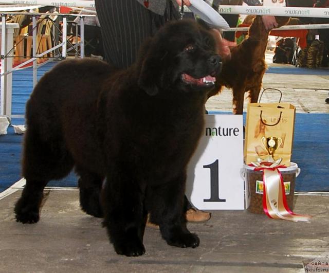 Фотография № 40435