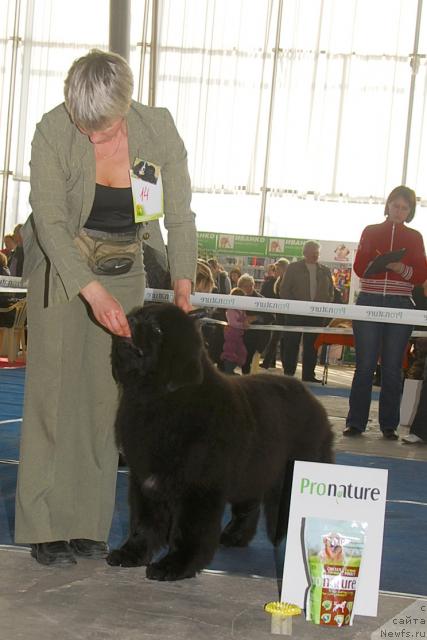 Фотография № 40438