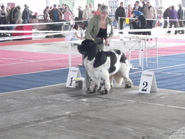 Фотография № 40440