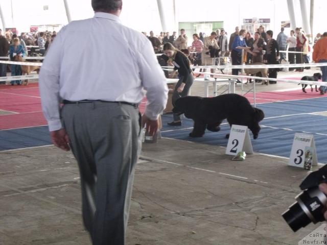 Фотография № 40441