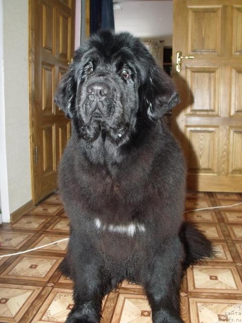 Фотография № 40442