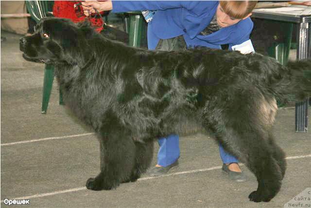 Фотография № 40457