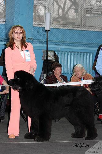 Фотография № 40459