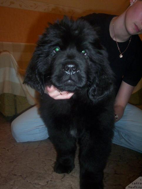 Фото: Уютная Долина Ай Да Хельга