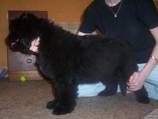 Фото: Уютная Долина Ай Да Хельга