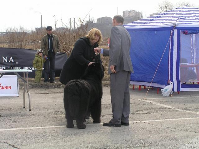 Фотография № 40478