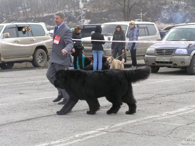 Фотография № 40480