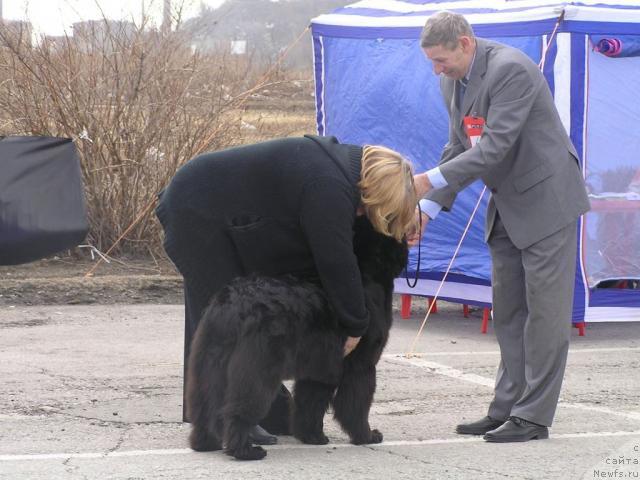 Фотография № 40482