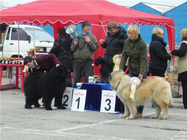 Фотография № 40483