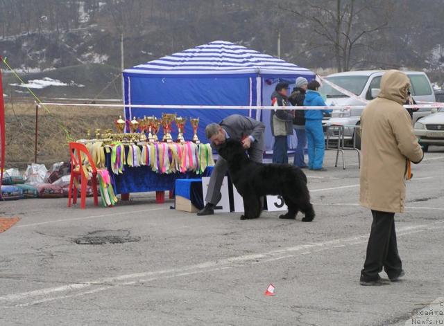 Фотография № 40486