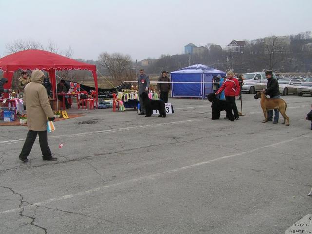 Фотография № 40488