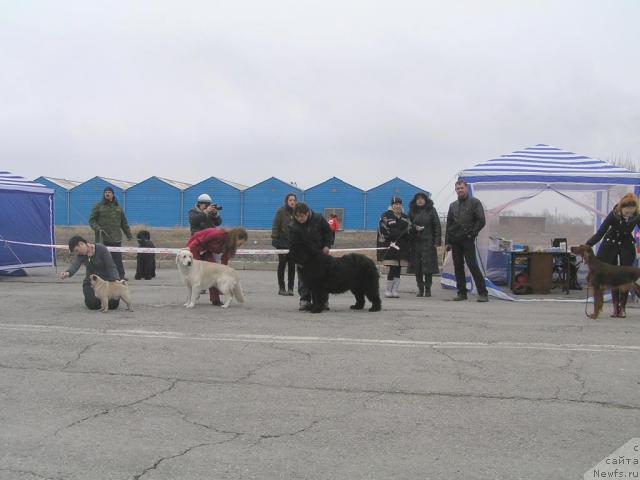 Фотография № 40491