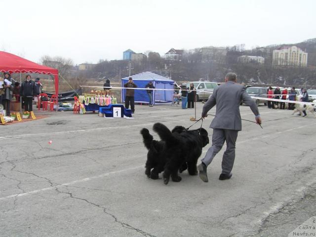 Фотография № 40494