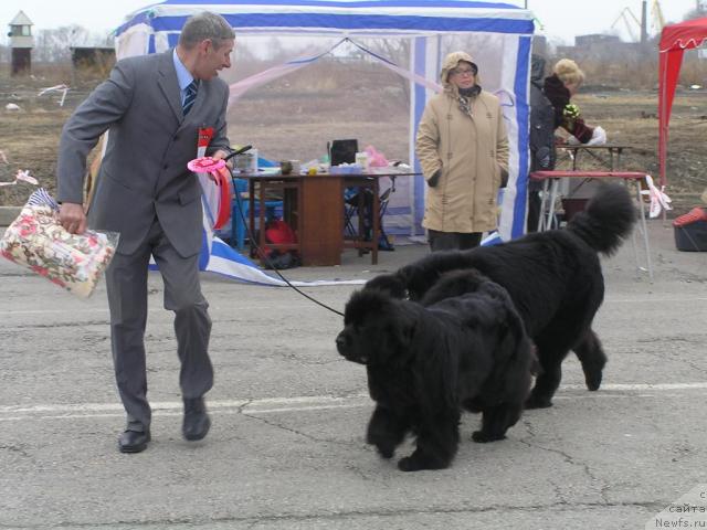 Фотография № 40497