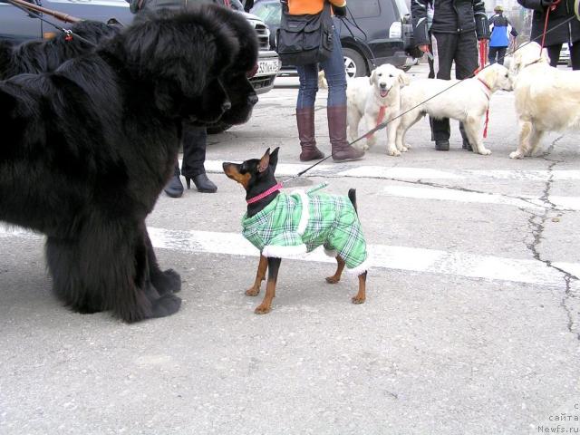 Фотография № 40499