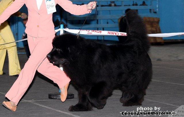 Фотография № 40520