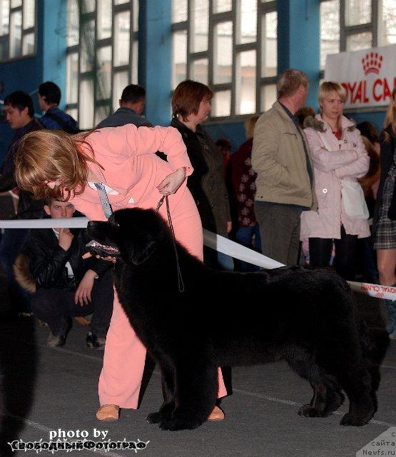 Фотография № 40522