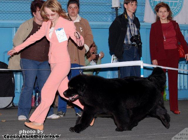 Фотография № 40523