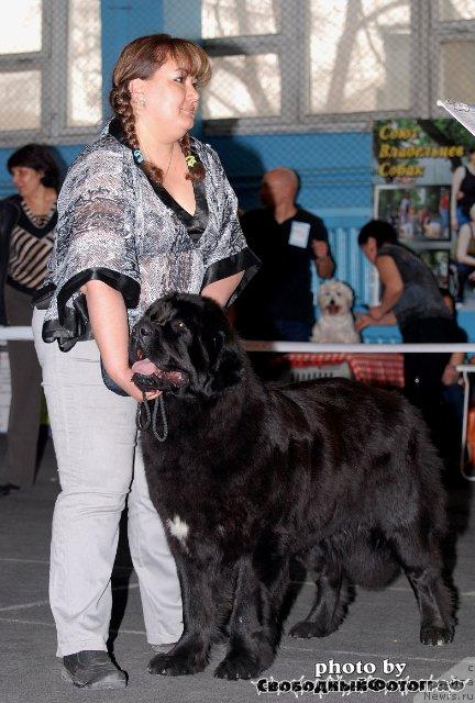 Фотография № 40525