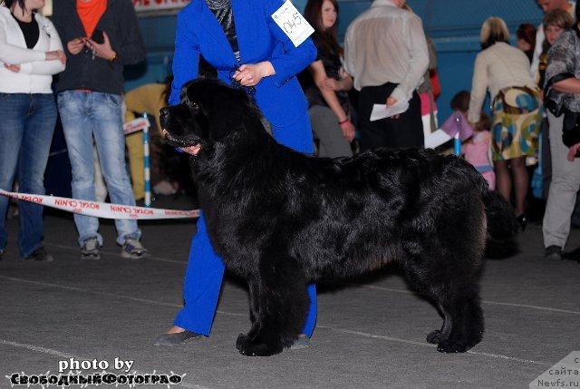 Фотография № 40527