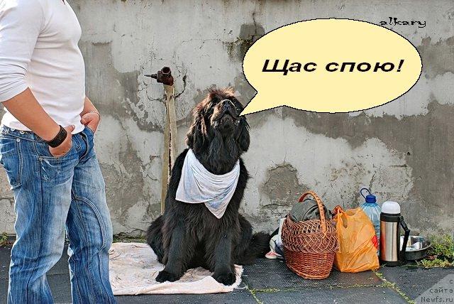 Фотография № 40547