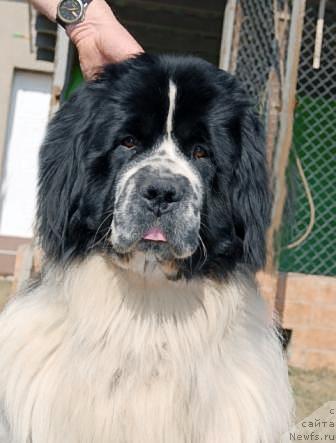 Фотография № 40580