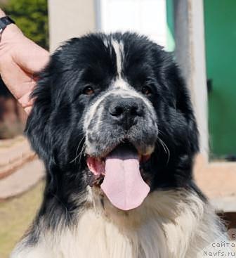 Фотография № 40587