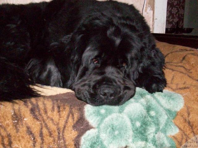 Фотография № 40598