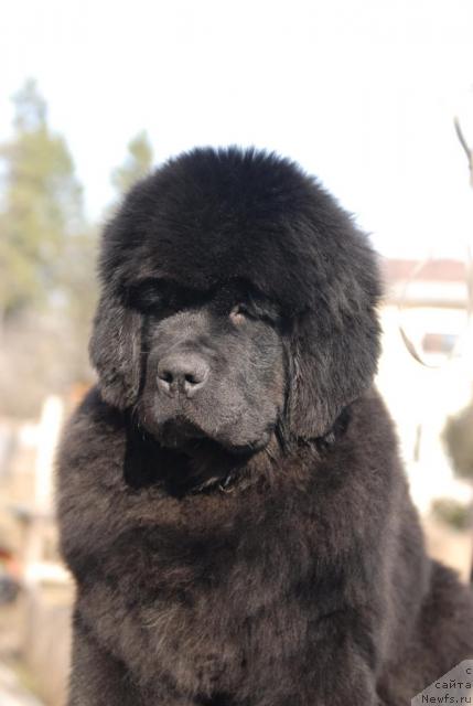 Фотография № 40640