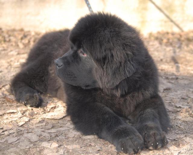 Фотография № 40643